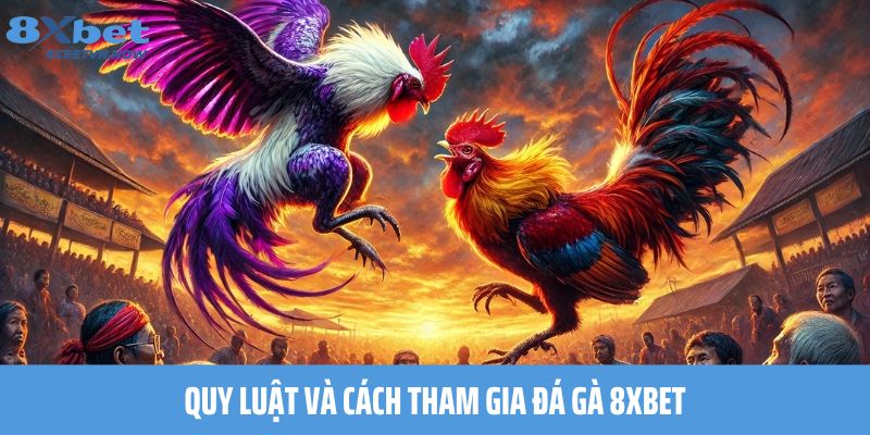 Quy luật và cách tham gia Đá Gà 8XBET