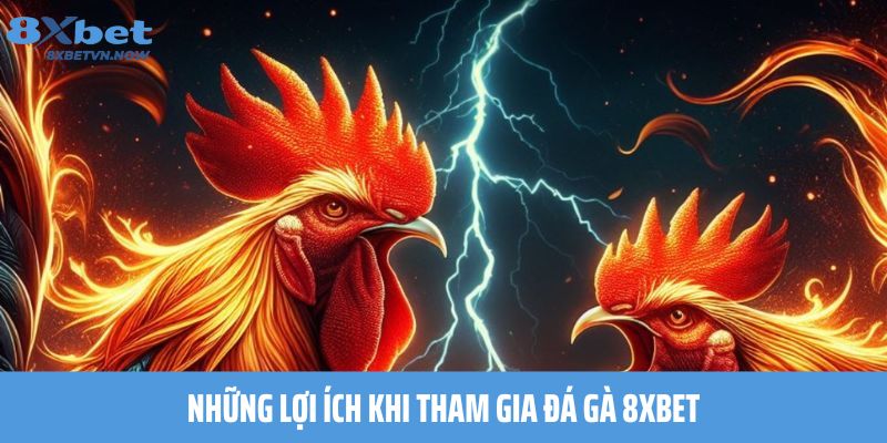 Những lợi ích khi tham gia Đá Gà 8XBET