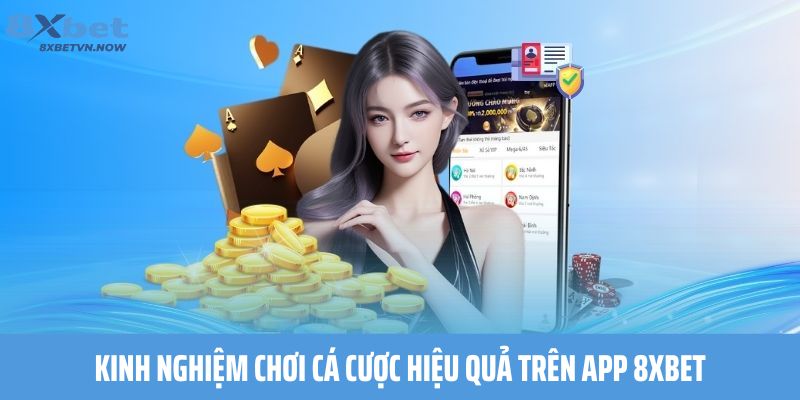 Kinh nghiệm chơi cá cược hiệu quả trên App 8XBET